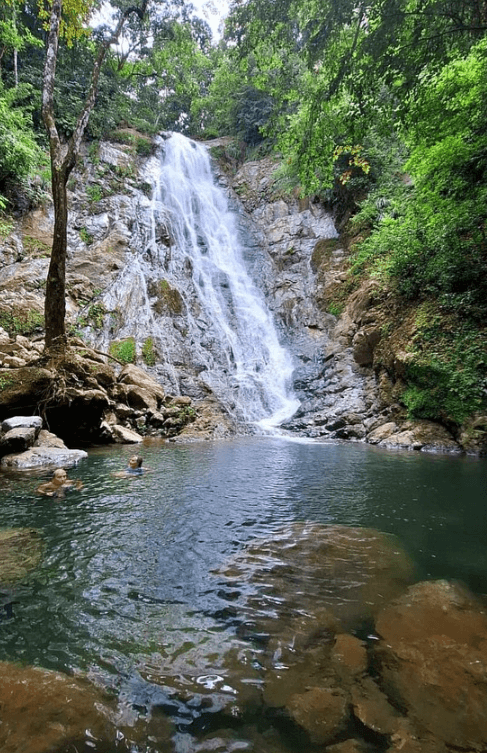 Coffee Tour & Waterfall - Image 1