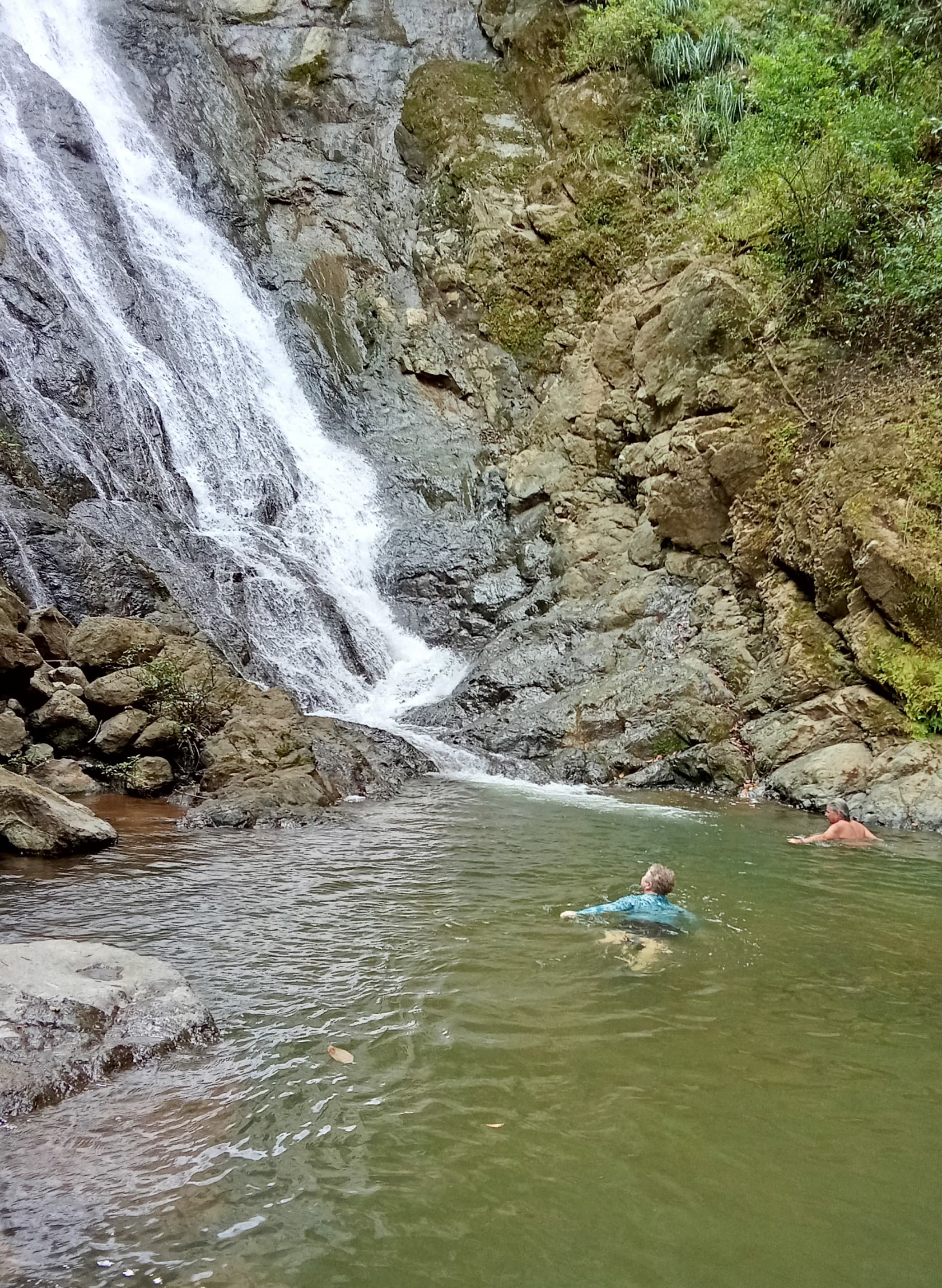 Coffee Tour & Waterfall - Image 2