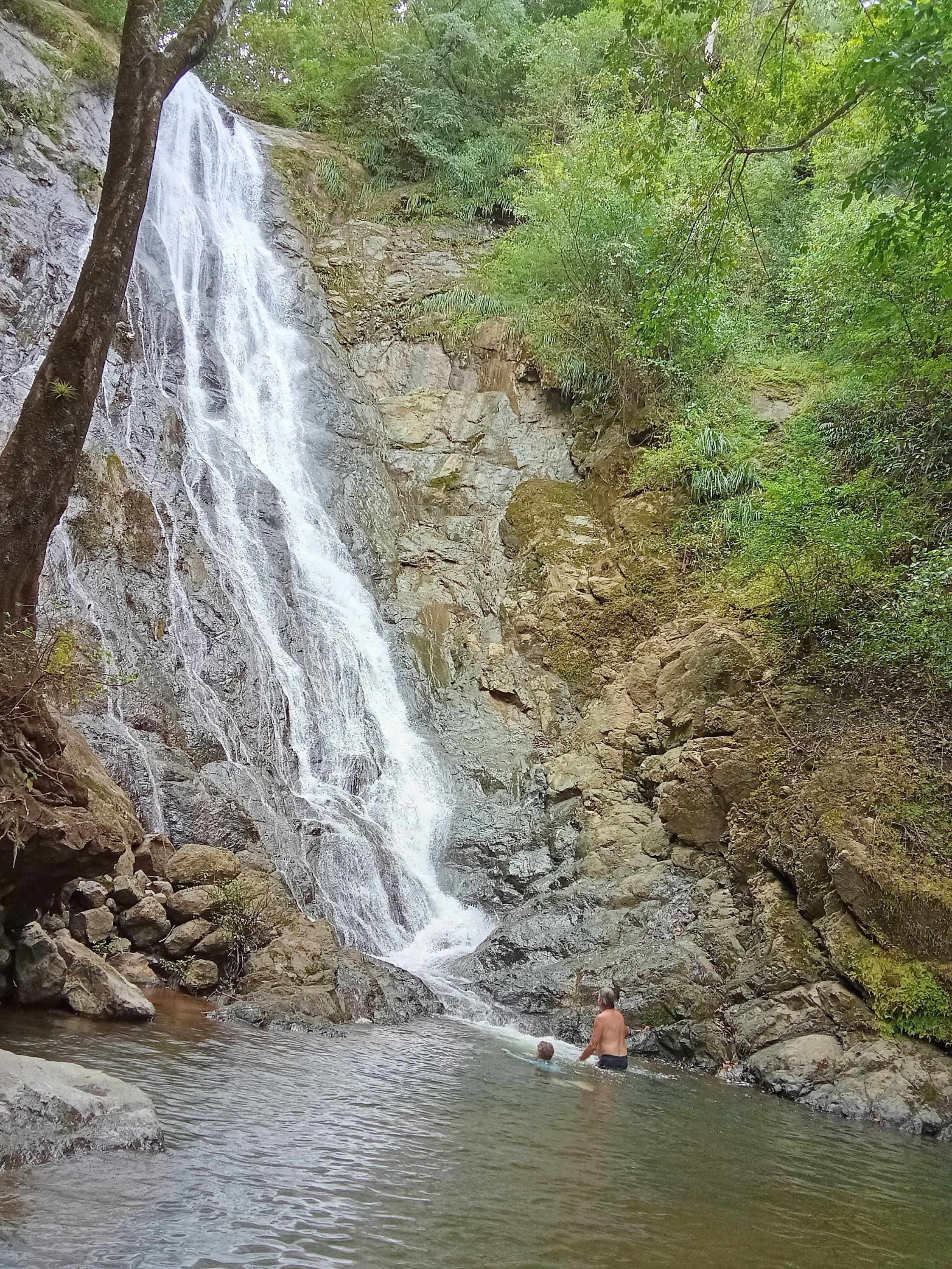 Coffee Tour & Waterfall - Image 3