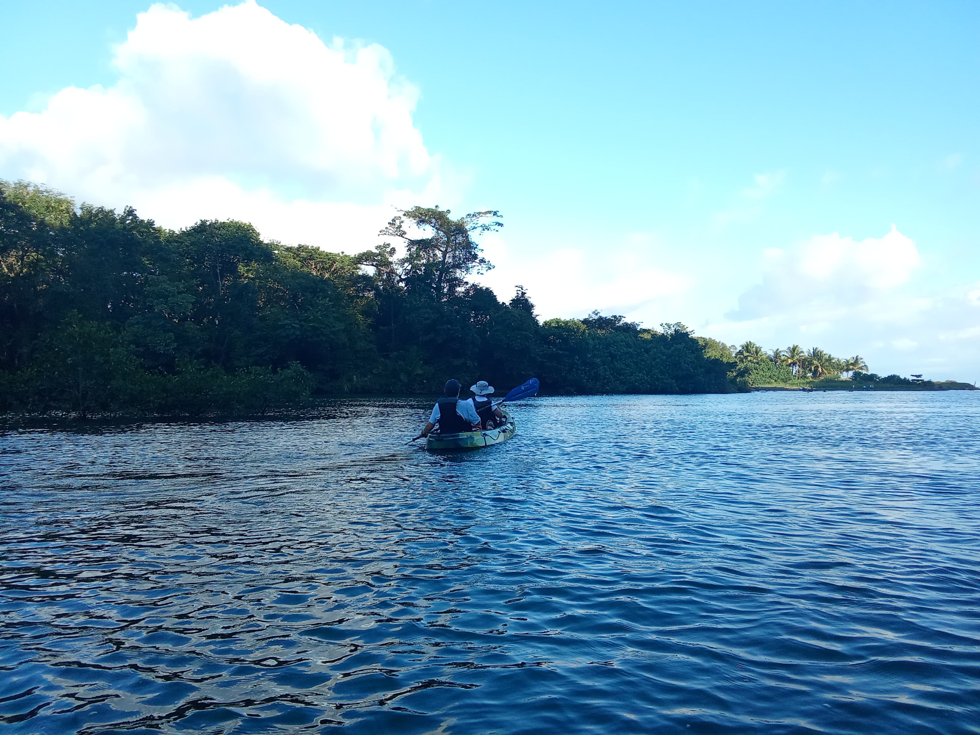 Mangrove Kayak Tour - Image 2
