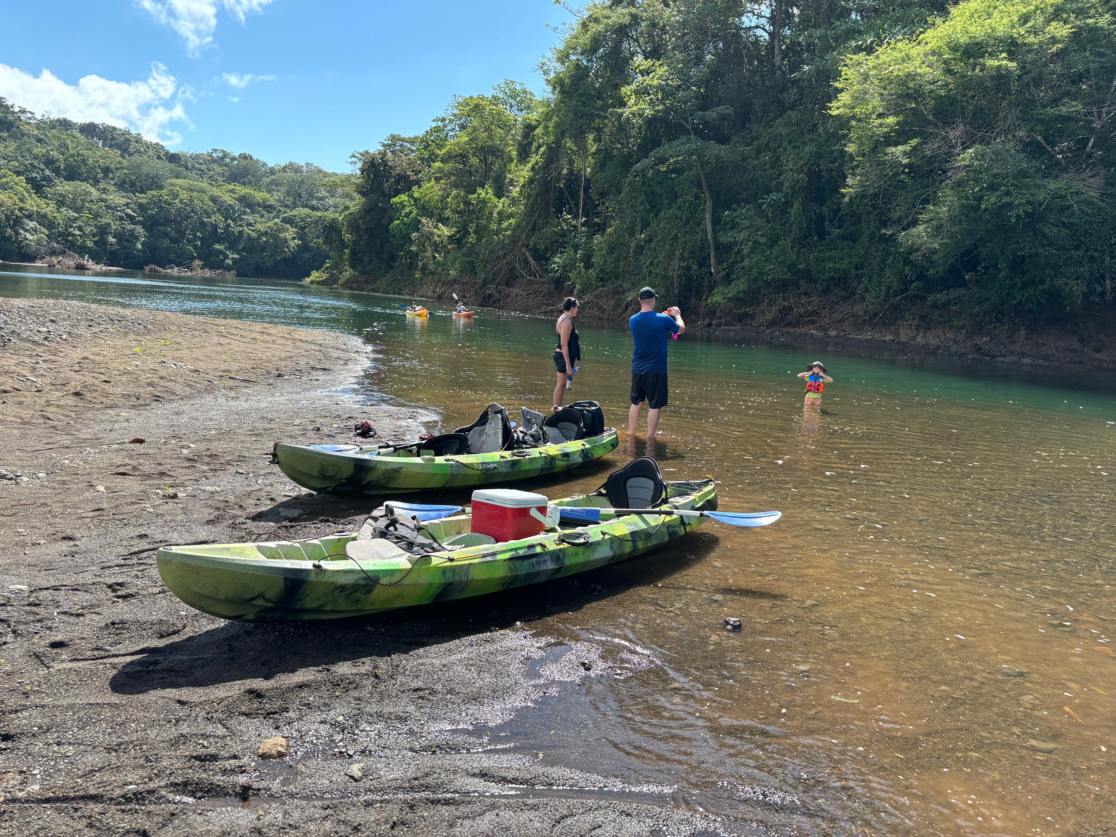 Mangrove Kayak Tour - Image 4