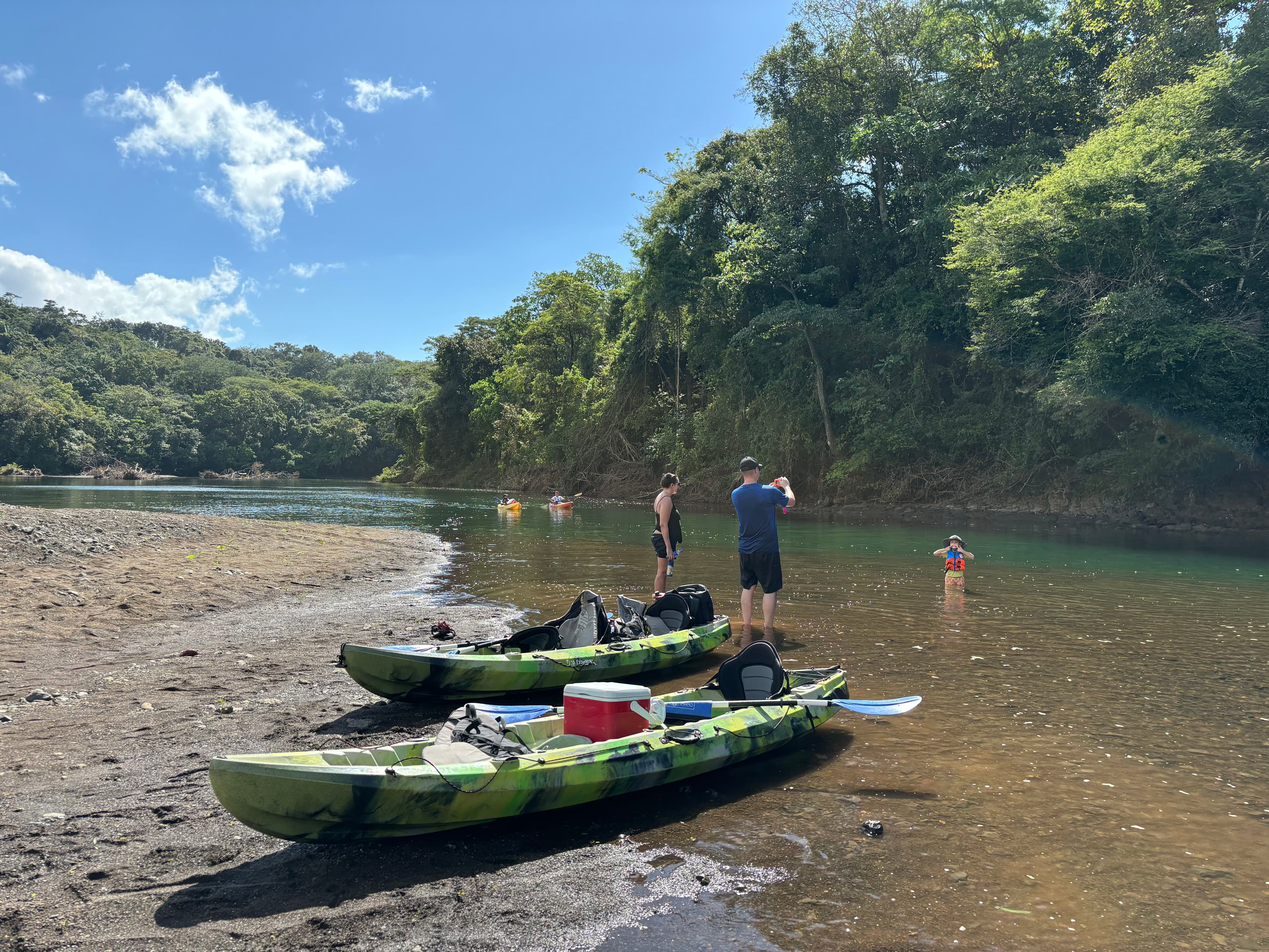 Mangrove Kayak Tour - Image 5