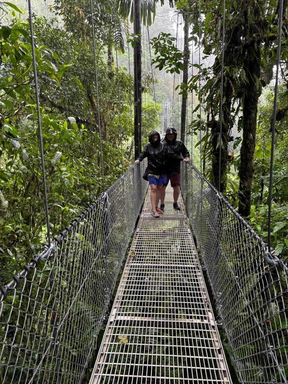 One Day Tour La Fortuna - Image 2