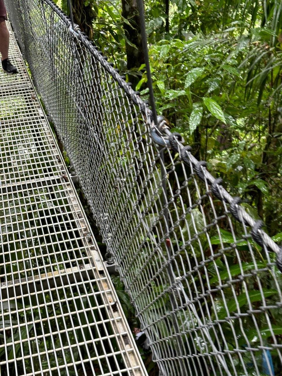 One Day Tour La Fortuna - Image 6