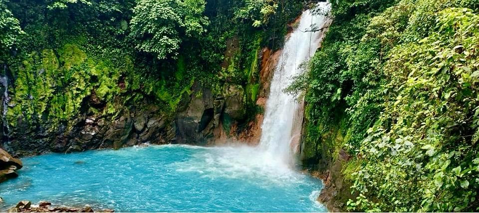 One Day Tour Rio Celeste